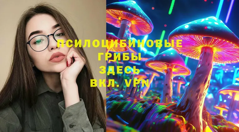 Псилоцибиновые грибы MAGIC MUSHROOMS  Гаврилов Посад 